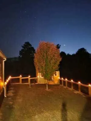 Wooden fence with warm landscape lighting at dusk and ivy-covered post accent