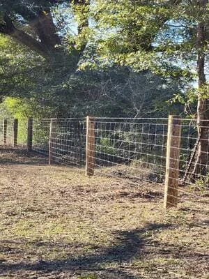 Wire fence with wooden posts in wooded rural area